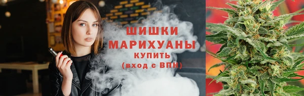 прущие грибы Балабаново