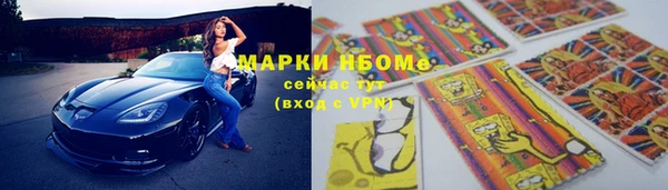 прущие грибы Балабаново