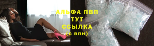 прущие грибы Балабаново