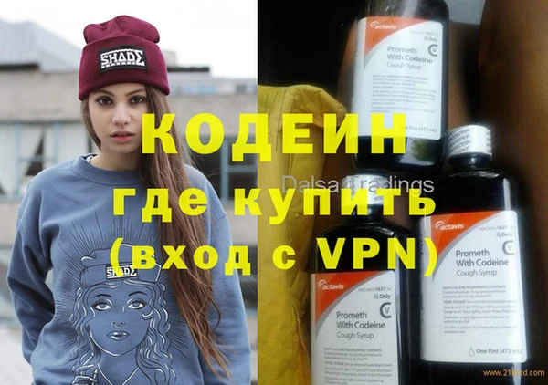 сатива Сатка
