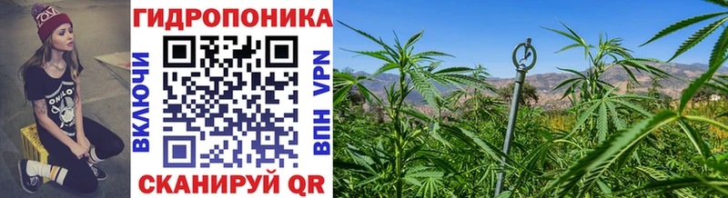 купить  сайты  Спас-Деменск  Бошки марихуана SATIVA & INDICA 